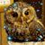 Cynthia Gentry Sandberg's profile image