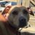 Carrie Helen Weese's profile image