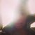 Slg Guss's profile image