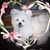 Janice Muniz's profile image