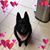 Mary Kilgore's profile image
