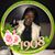 Taquila Nicole Bruce's profile image
