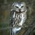Patrice Steckel's profile image