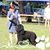 Lyne Trudel's profile image