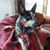 Barb Hoffman Kiskiras's profile image