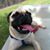 Butkus Dee's profile image