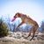 Beth Baumann's profile image