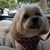 Susan Kovel's profile image