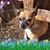 Michelle Anderson's profile image