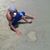Cesar Sandoval Penaloza's profile image