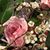 Eileen Getchell-Shumbris's profile image
