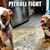 Angelina Russell's profile image