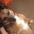 Oksana Koeppen's profile image