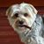 Harvey D Goodman's profile image