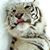 Gloria Lynn Gragg's profile image