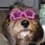 Annie Lynch's profile image