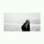 Nia Lautiani's profile image