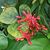Rita Sporrer's profile image