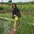 Oseguera Sandy's profile image