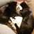 Charlotte Bancroft's profile image