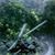 Austin St Pierre's profile image