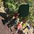 Jason Kniseley's profile image