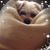 Blandina Dutra's profile image