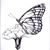 Stacey Carlos's profile image