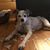 Dean Whittington Franklin's profile image