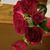 Jeanne Johannsen Kontz Medbourn's profile image