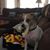 Kathleen Marie Stone's profile image