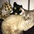 June Delane's profile image