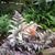 Pamela Woosley's profile image