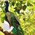 Paco Garcia's profile image