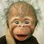 Patricia McBride's profile image