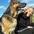 Silvana Bottafuoco's profile image