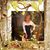 Helen Ortiz Rodriguez's profile image