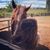 Lexi Raudman's profile image