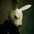 Shane Cowan's profile image