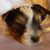 Margaret Erickson's profile image