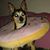 Sarah Blagg's profile image