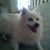 Francis Buchiere's profile image