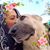 América Herrera's profile image