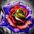 Rosalinda Flores's profile image