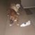 Ark Phinney's profile image