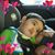 Patricia Silva's profile image