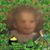 Barbara Condiff's profile image
