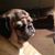 Michael Nelson's profile image
