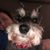Stephanie Wade LaPointe's profile image