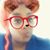 Synika Rice's profile image